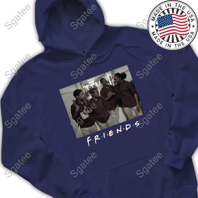 Surrounded By Idiots Boys Of Summer Pullover Sweatshirt (F.R.I.E.N.D.S)  S.B.I Store - Sgatee