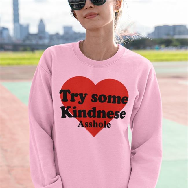 Try Some Kindnese Asshole Tee Poorly Translated Shirts