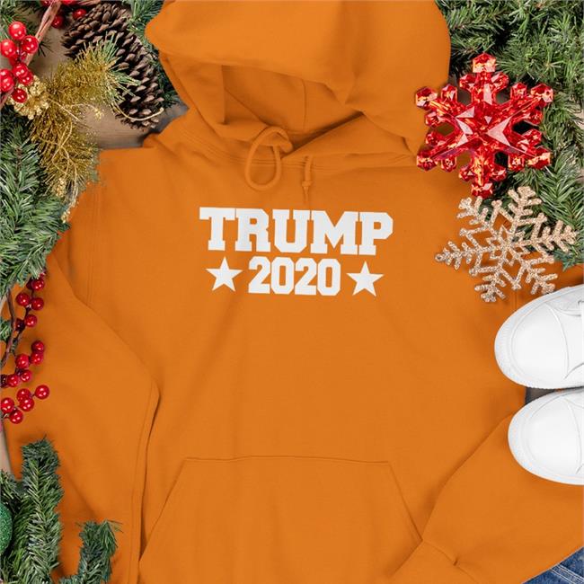 Sonny In Vermont Sue Republican Trump 2020 Hooded Sweatshirt