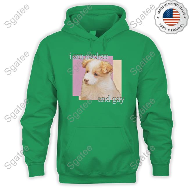 I Am Useless And Gay Hoodie I Am Useless And Gay T Shirt