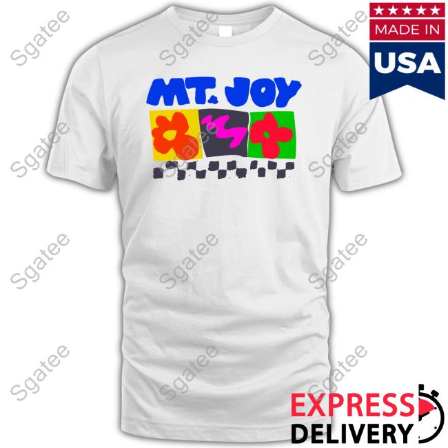 Mt.Joy Checkered Hoodie