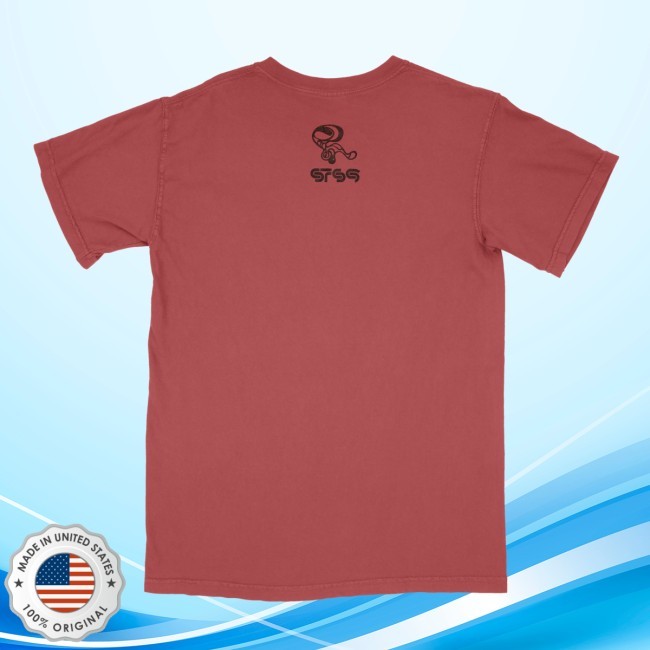 Reflection Turtle Tee Shirt | STS9 Merch