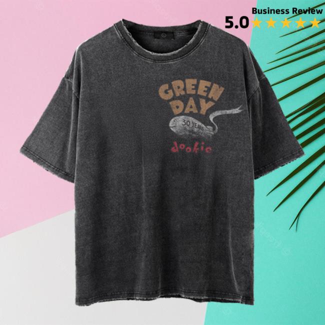 Green Day Merch Dookie Blimp Oversized Vintage T-Shirt