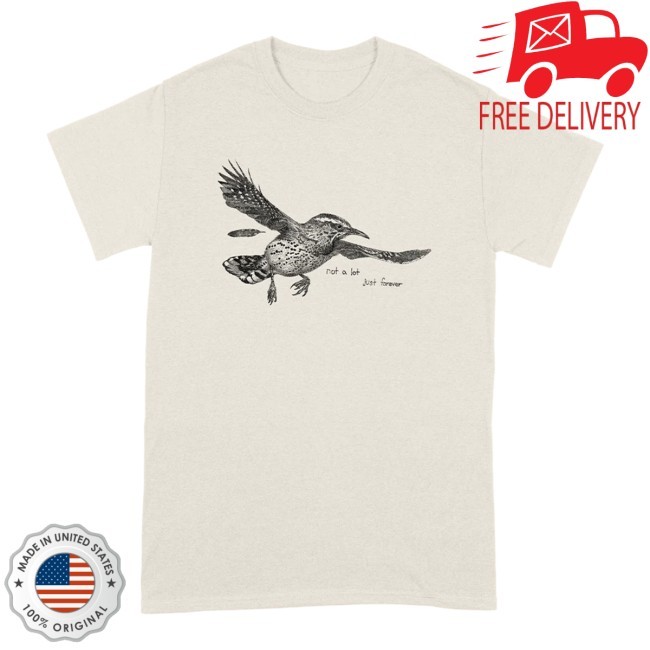 Adrianne Lenker Not A Lot Just Forever T Shirt Big Thief Store
