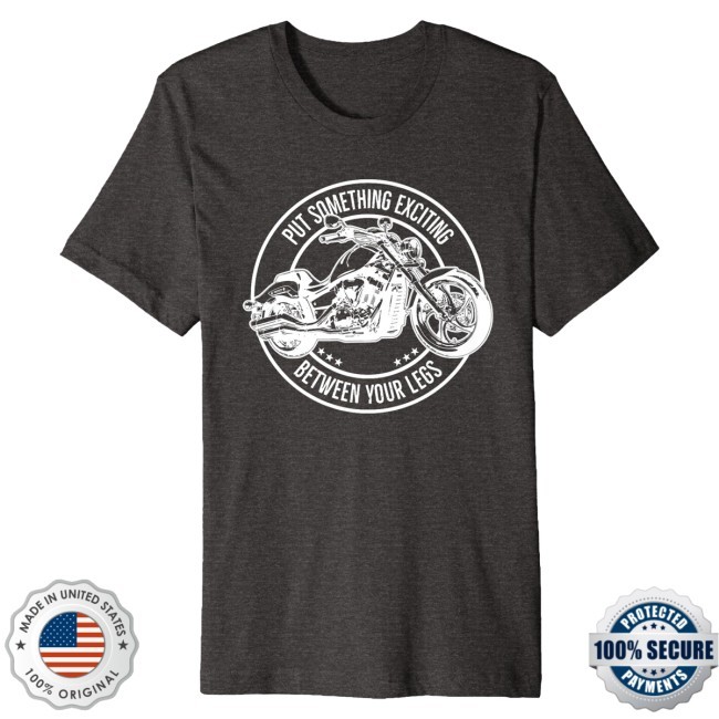 Put Something Fun Between Your Legs Shirt - Motorcycle Premium