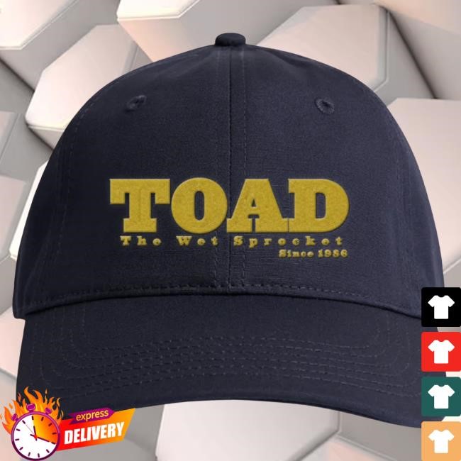 Pit Lineup Pick Toad the Wet Sprocket Gold Logo Cap Gold Logo Embroidered Cap Toad the Wet Sprocket Front Row