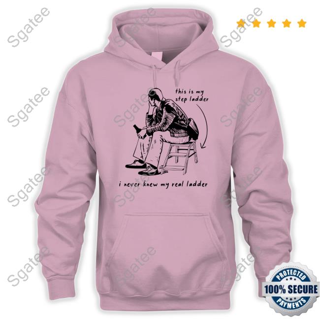 This Is My Step Ladder I Never Knew My Read Ladder Hoodie