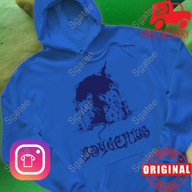 Boygenius Mice Long Sleeve Tee Phoebe On Tour