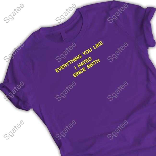Everything You Like I Hated Since Birth T-Shirt