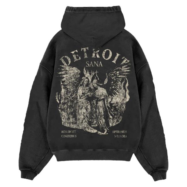 Official Sana Detroit Red Wings Sana Detroit Angels Seal Crew - Vintage Black