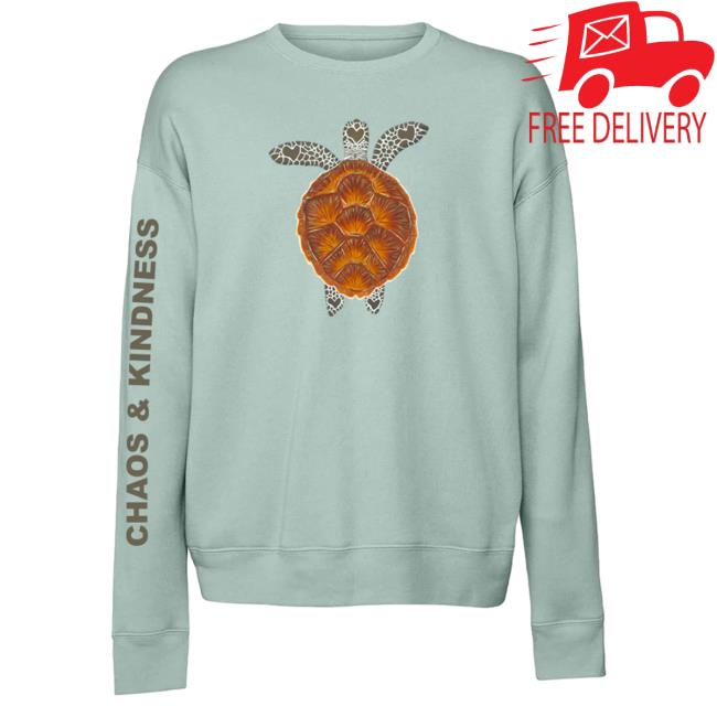 Official Chaos And Kindness Store Turtle Hoody