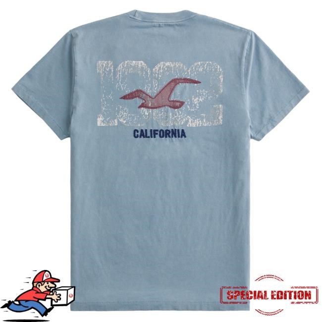 Soft Cotton Logo Graphic Tee By Hollister