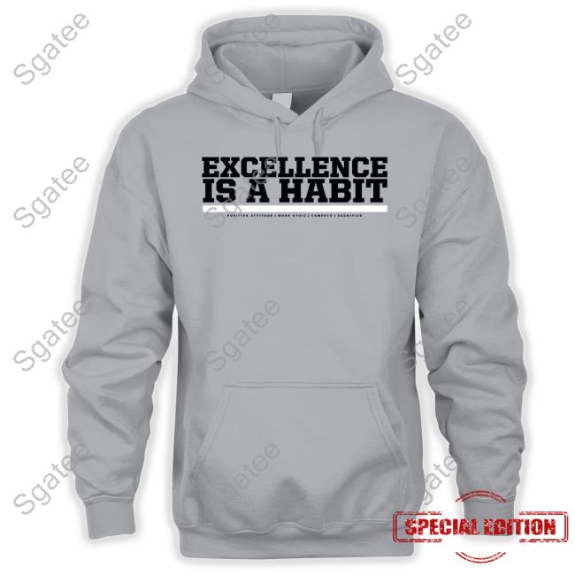 Official Wintshirt Store Excellence Is A Habit Fan Favorite Cap