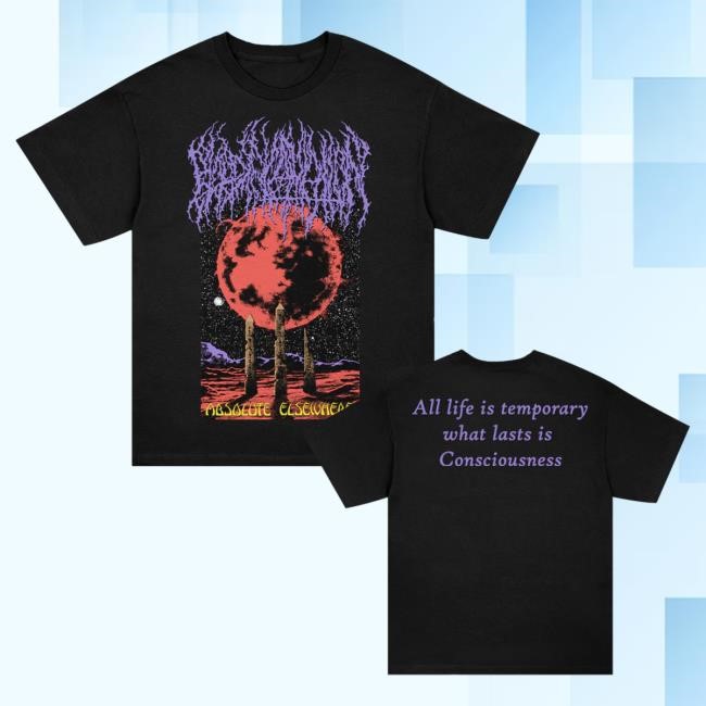 Official Blood Incantation Merch All Life Is Temporary New Shirt