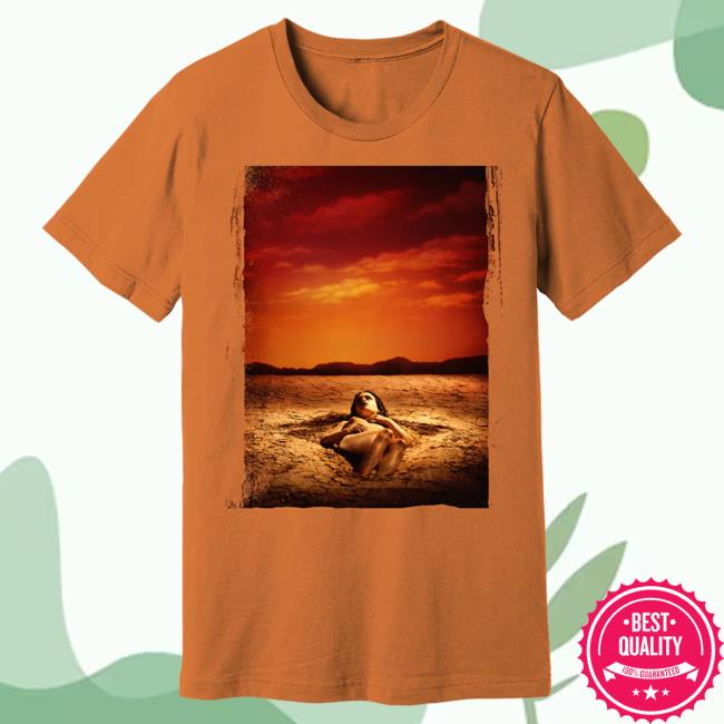 Official Alice In Chains Merch Store Alice In Chains Dirt Album Cover Oversized New Shirt Aliceinchains