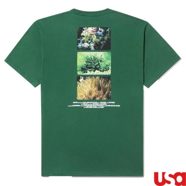 Official Noah Ny Merch Store Shop Seaweed Stories Tees NoahNy