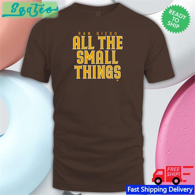 San Diego All The Small Things Tee Shirt Breakingt Merch