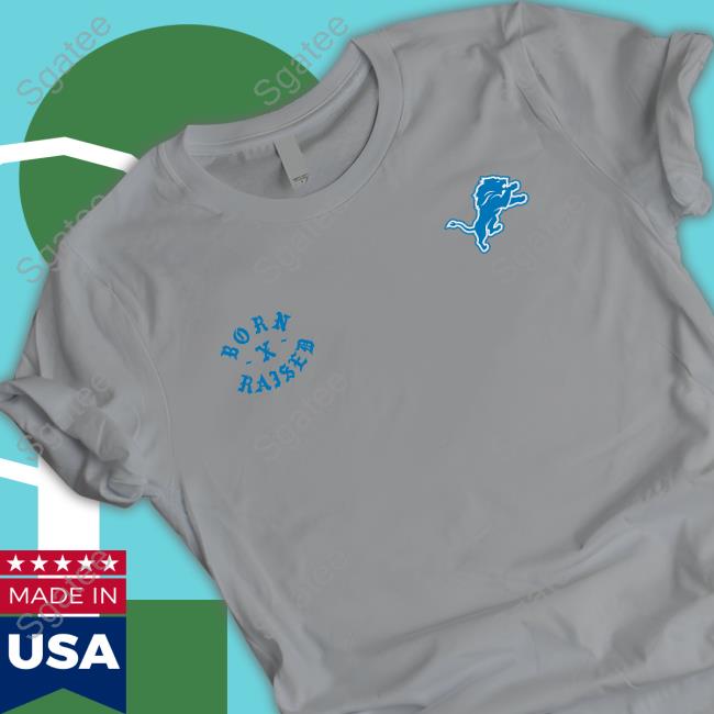 Detroit Lions Born X Raised Silver Detroit Lions Pullover T-Shirt