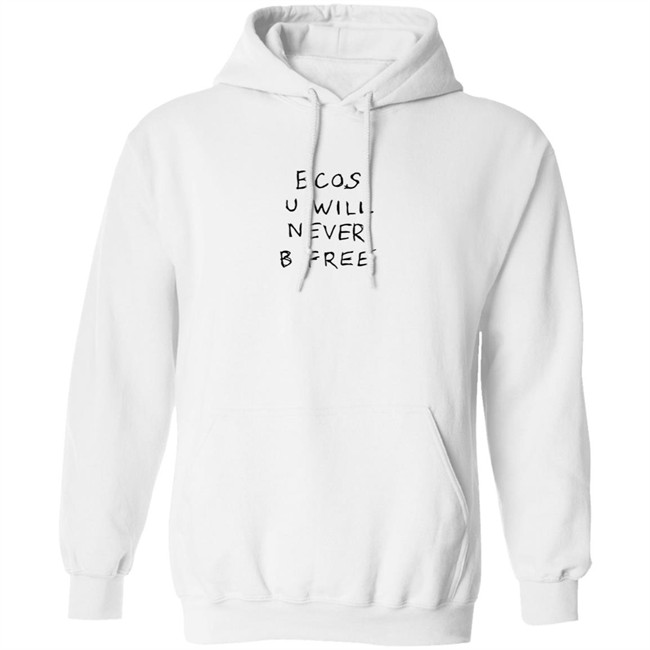 Rex Orange County Merch Bcos U Will Nevel B Free Hoodie