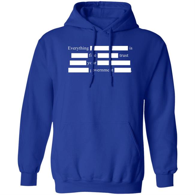 Notsweetdeesez Sweet Dees Tees Merch Everything Is Fine Trust Your Government T Shirt