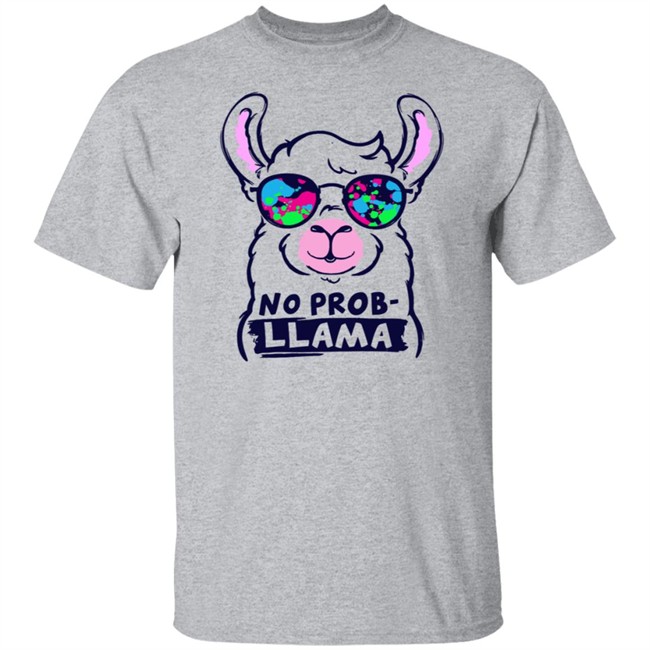 No Probllama Hoodie No Probllama Hoodie