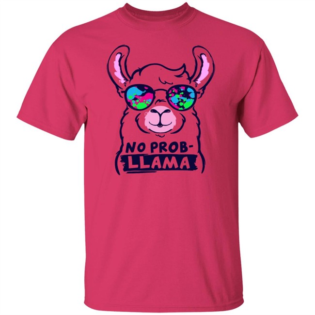 No Probllama Hoodie No Probllama Hoodie