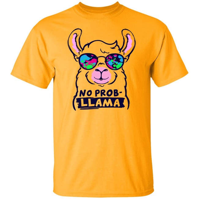 No Probllama Hoodie No Probllama Hoodie