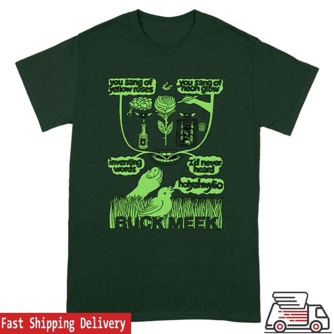Official Big Thief Merch Store Shop Buck Meek Secret Side Shirt 2024