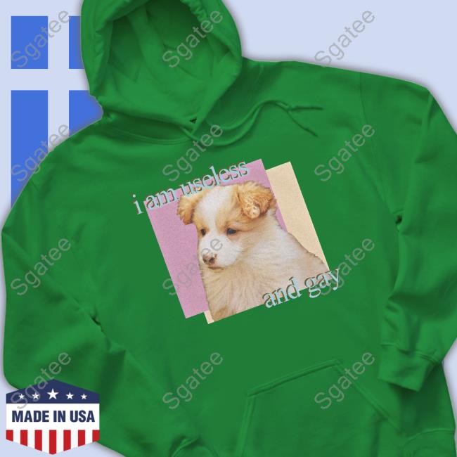 I Am Useless And Gay Hoodie I Am Useless And Gay Shirt