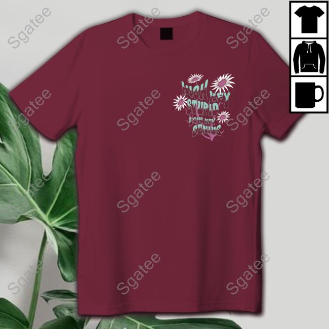 High Key Stupid Low Key Genius Tee