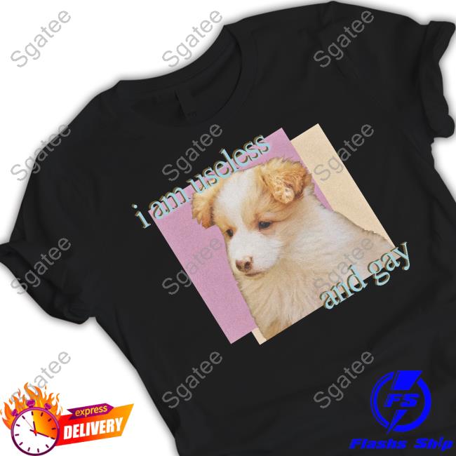 I Am Useless And Gay T Shirts