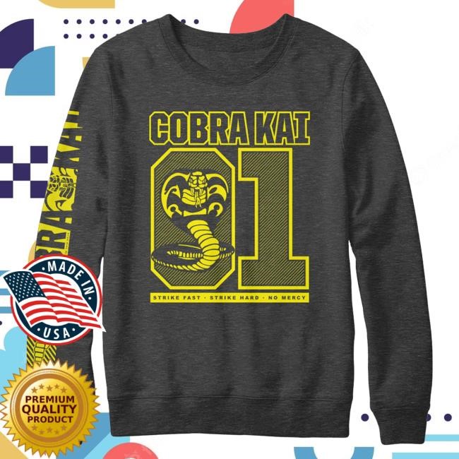 Official Cobra Kai Merch Cobra Kai Team Gray Hoody