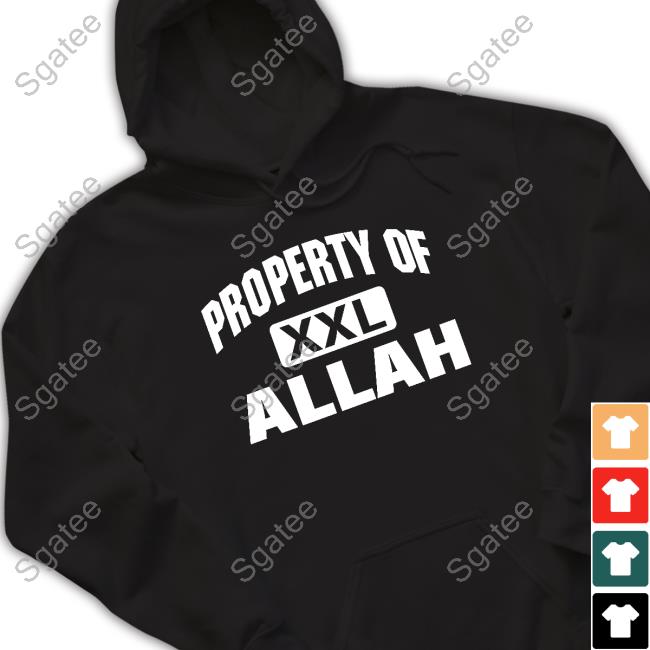 Official Roots Of Combat Mike Tyson Property Of Xxl Allah T Shirt