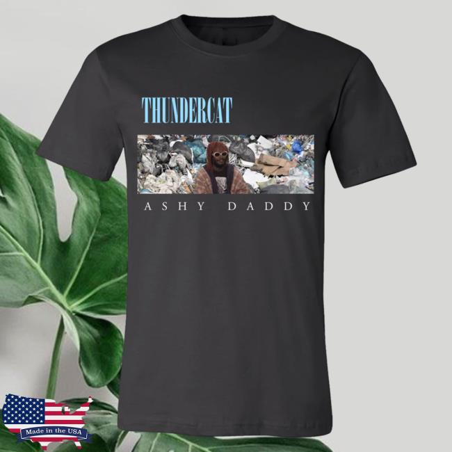 Official Thundercat Merch Thundercat Ashy Daddy Popover Shirt Theamazingthundercatstore