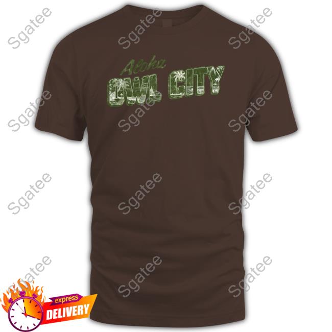 Official Owl City Merch Aloha Owl City T Shirt Coco Moon